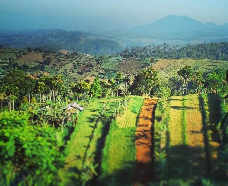 Bukit Moko, Puncak Tertinggi Bandung Yang Eksotis