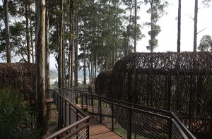 Lutung kasarung