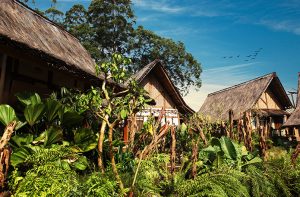 Vila dusun bambu kampung layung